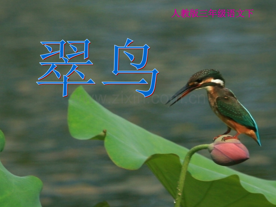 人教版三年级下册件.pptx_第1页