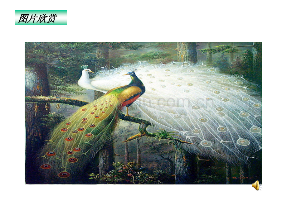 人教版三年级下册件.pptx_第2页