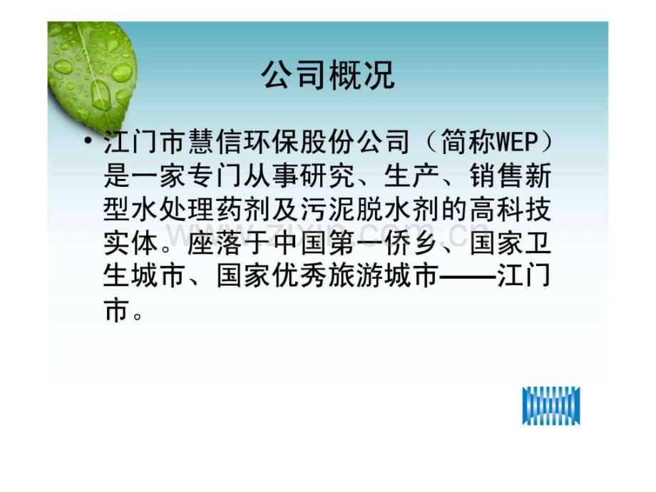 慧信公司简介.pptx_第2页