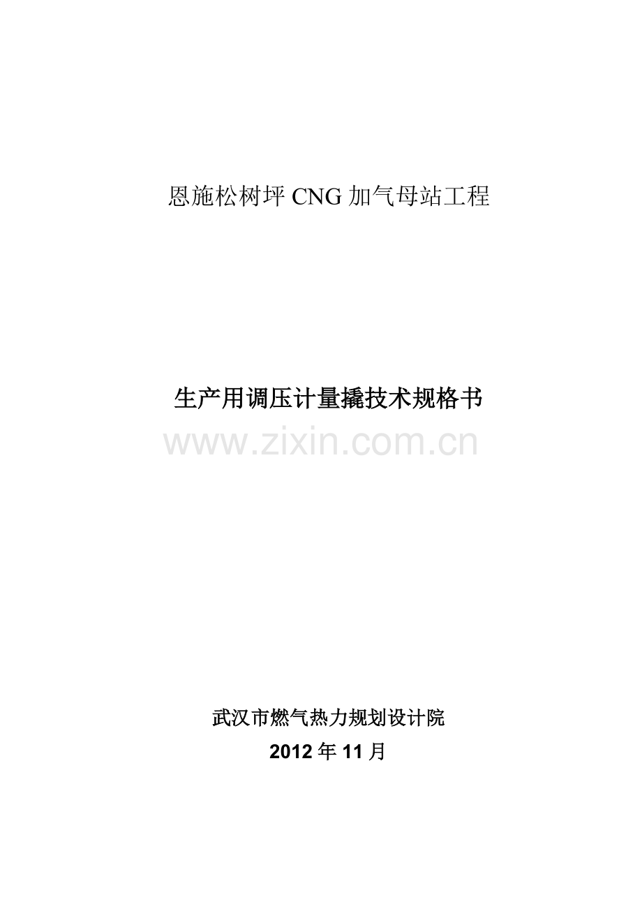CNG加气母站调压计量撬技术规格书.doc_第1页