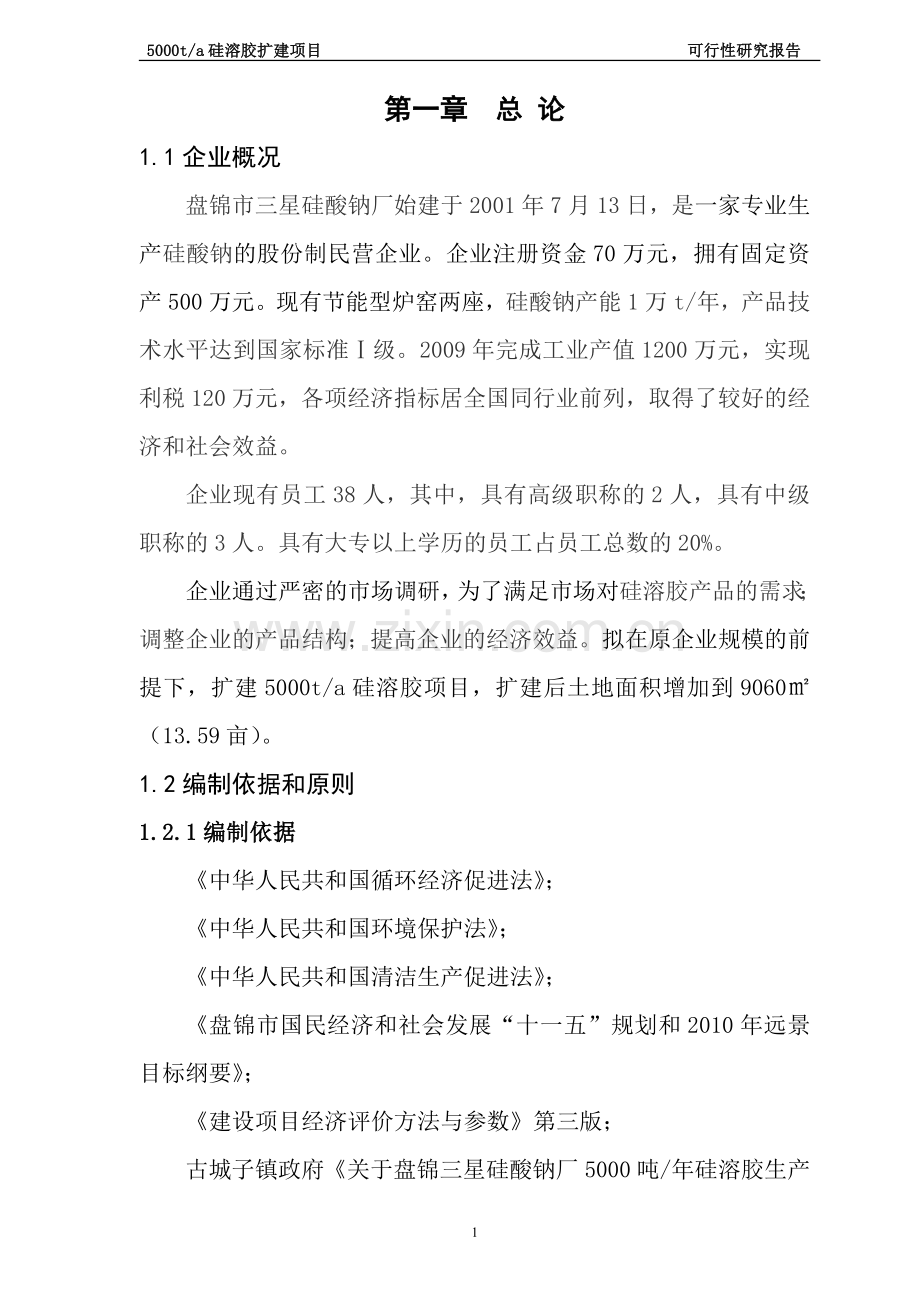 5000吨年产硅溶胶建设项目建设可行性研究报告.doc_第1页