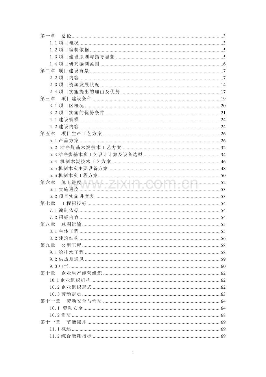 炭业循环经济示范性项目可行性研究报告.doc_第1页