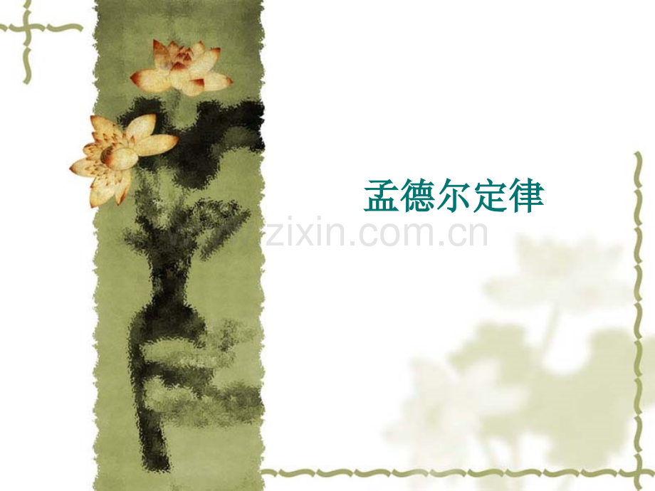 孟德尔定律高三复习.pptx_第1页