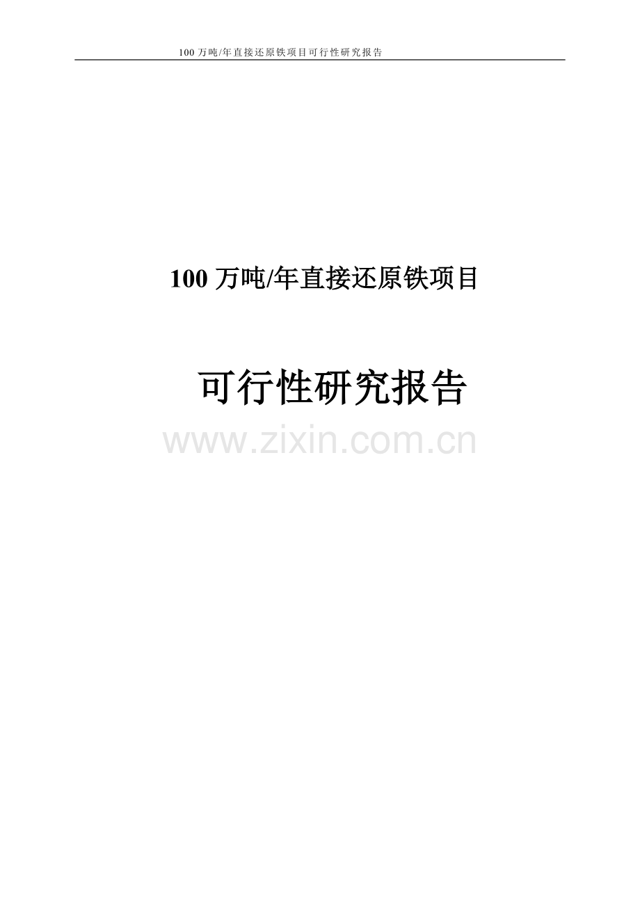 100万吨年直接还原铁项目可行性研究报告.doc_第1页