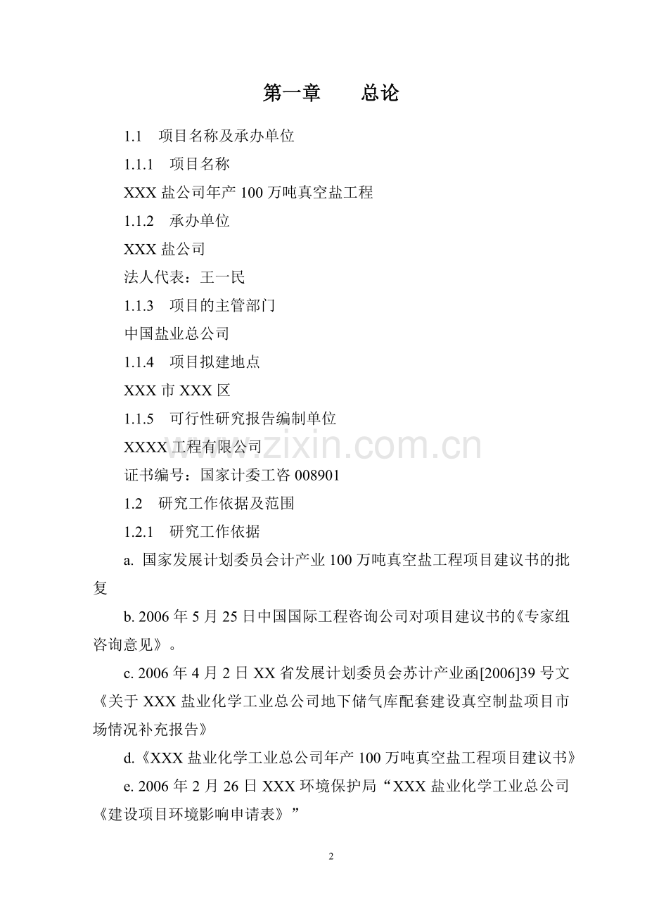 真空盐工程项目建设可行性研究报告.doc_第2页