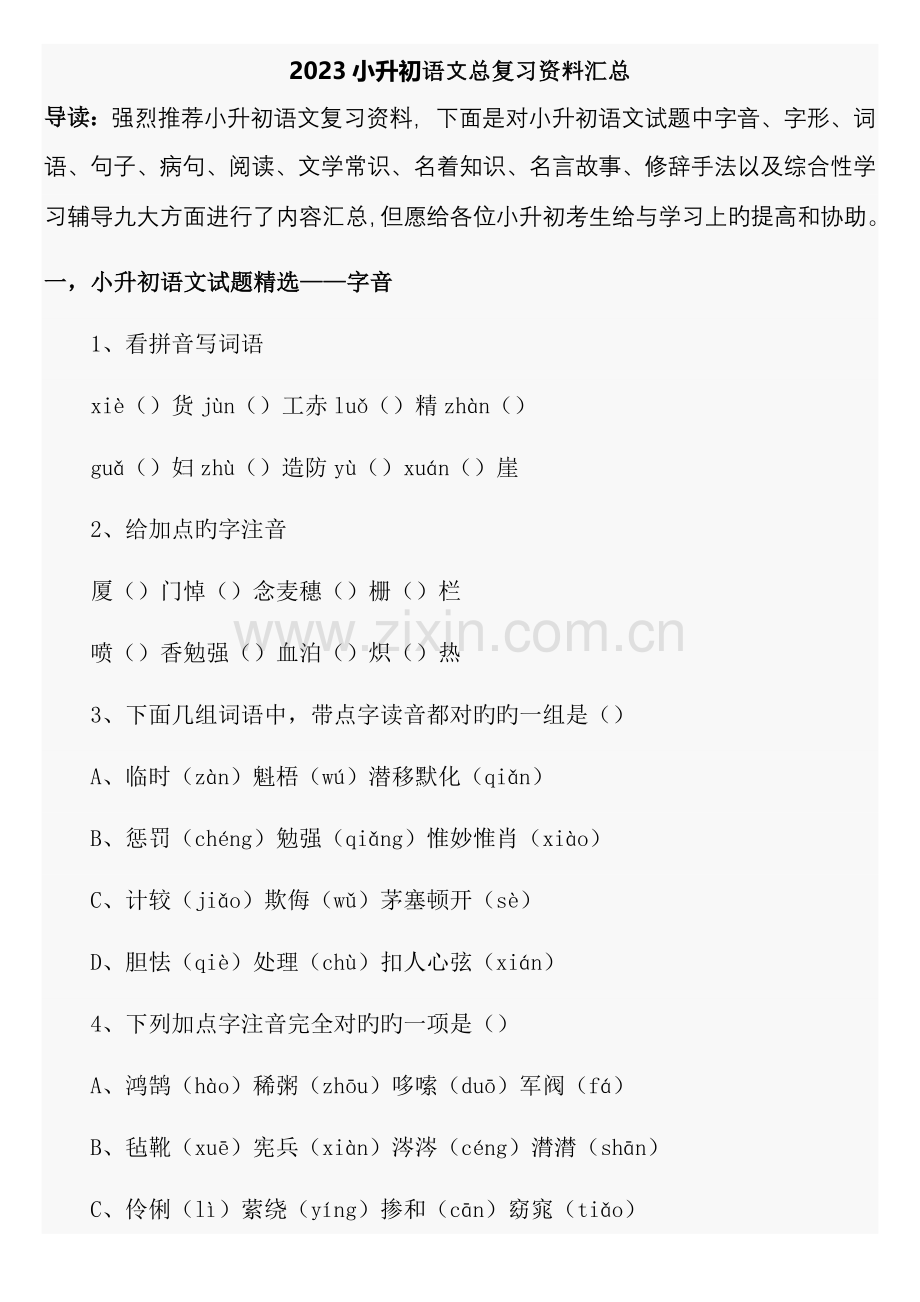 2023年新版小升初语文总复习资料汇总.doc_第1页
