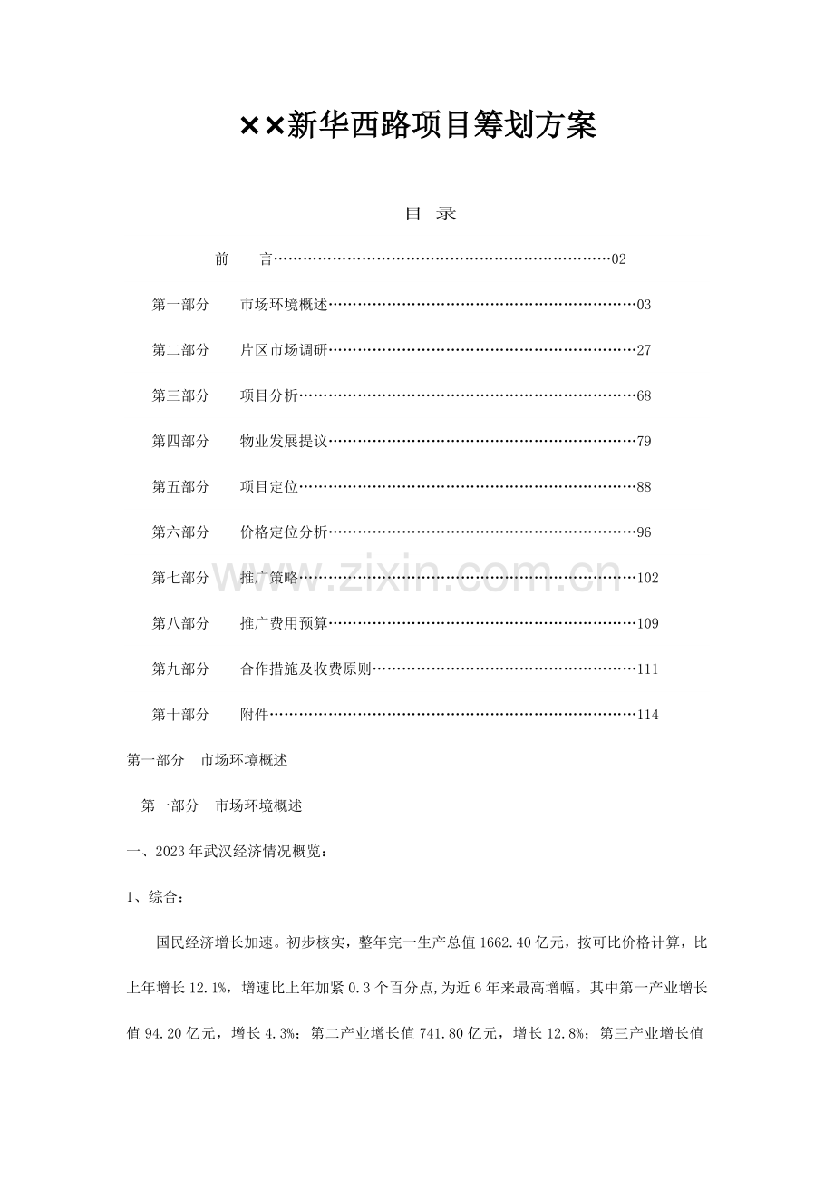 新华西路项目策划方案.doc_第1页