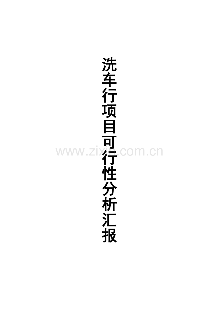 洗车行项目可行性分析报告.doc_第1页