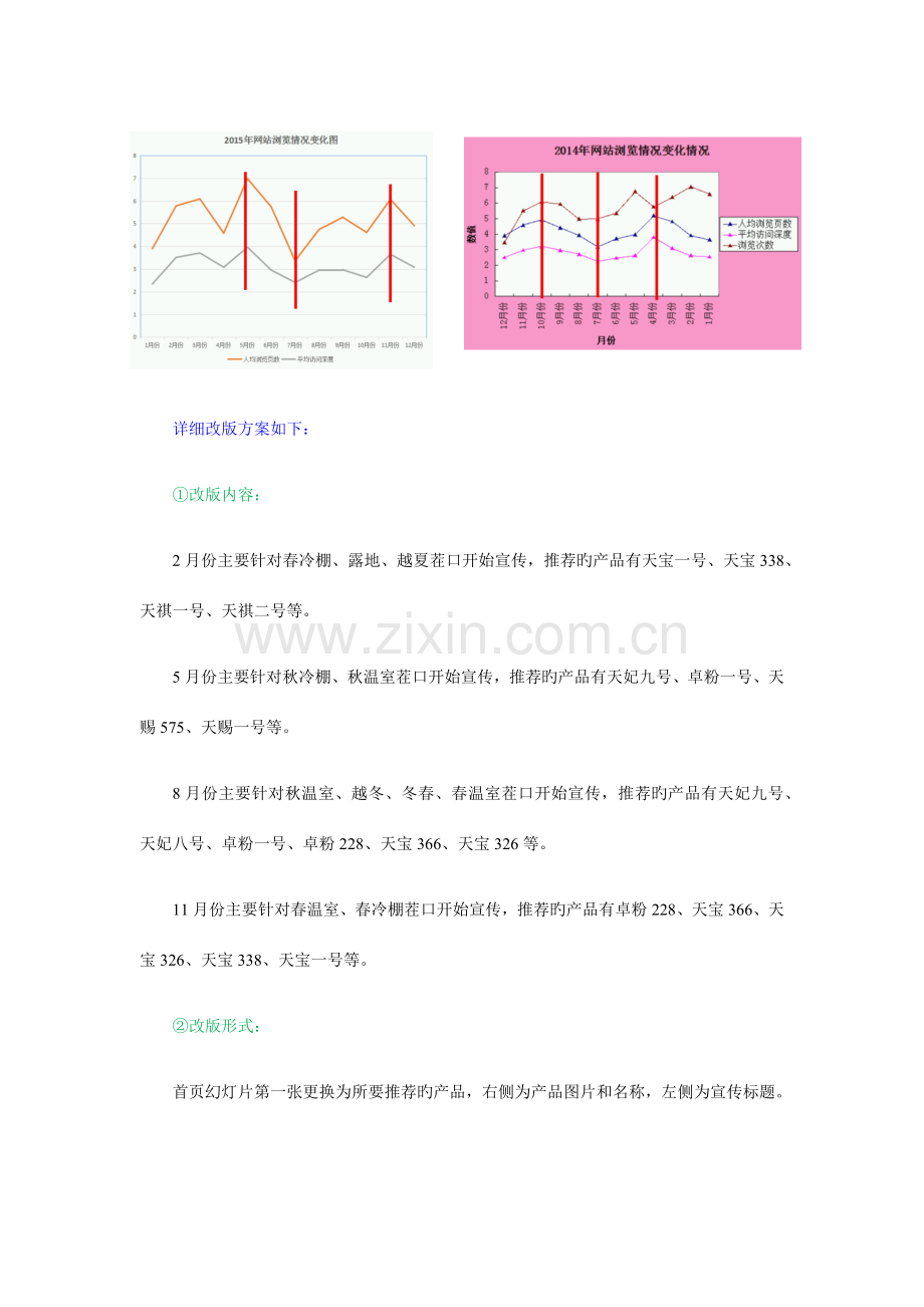 网络推广工作发实施展方案.docx_第2页