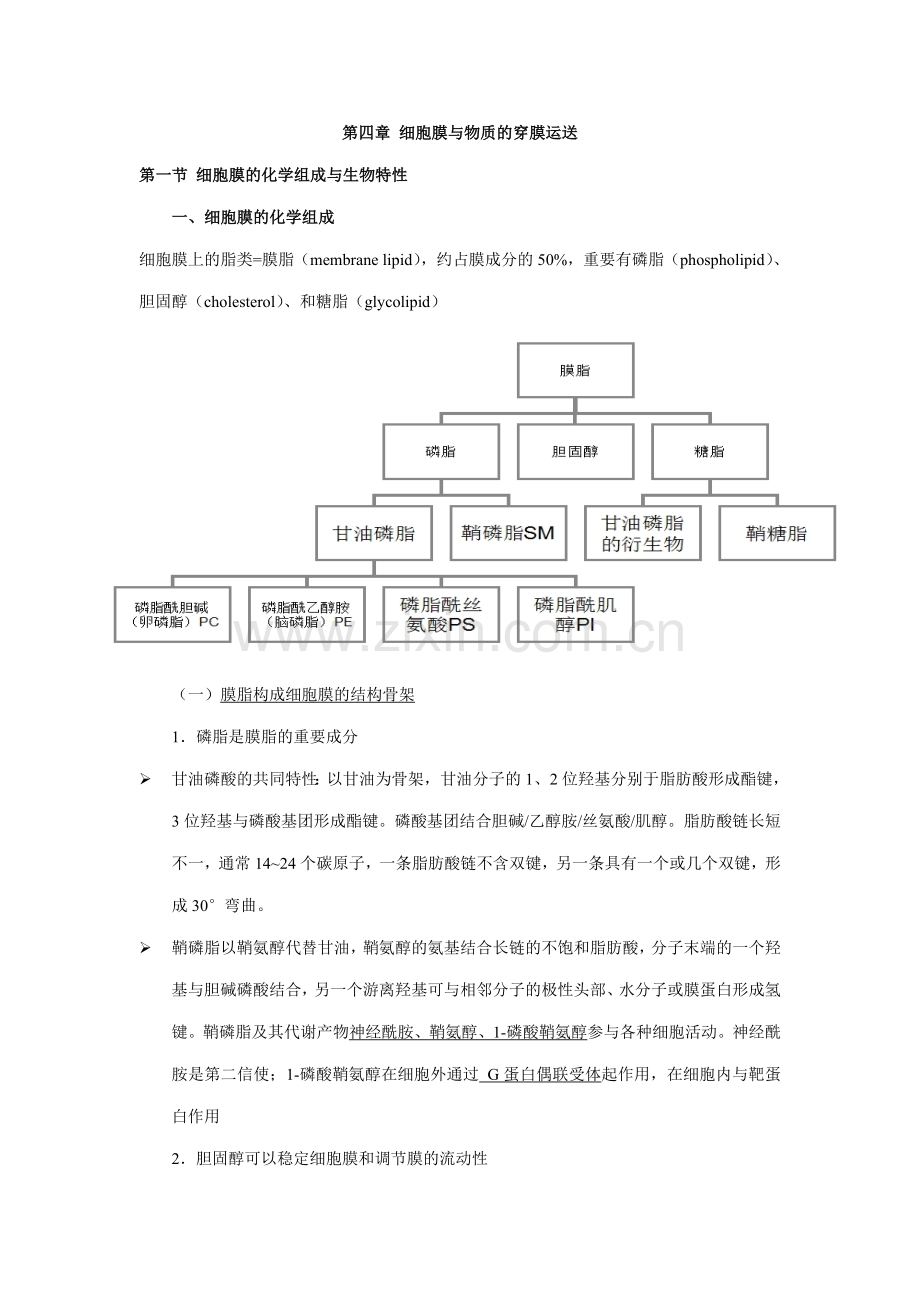 细胞生物学之笔记细胞膜与物质的穿膜运输.doc_第1页