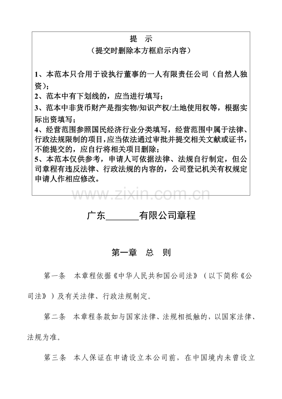 一人自然人独资公司章程参考范本适用于设执行董事.doc_第1页