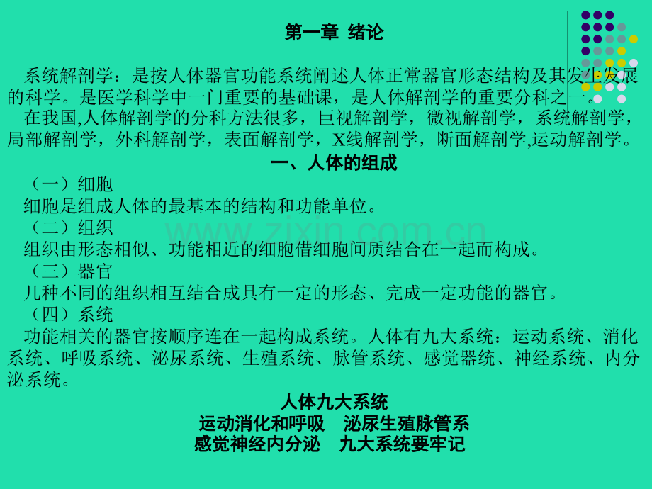 人体解剖学全(00002).pptx_第2页