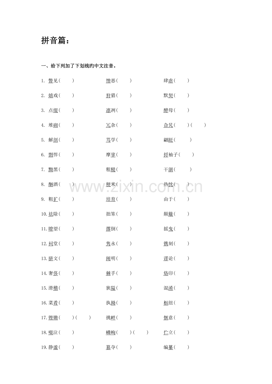 2023年小升初拼音汉字习题.doc_第1页