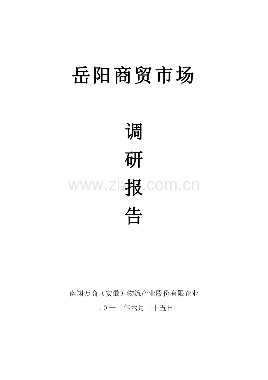 岳阳商贸市场调研报告.doc_第1页