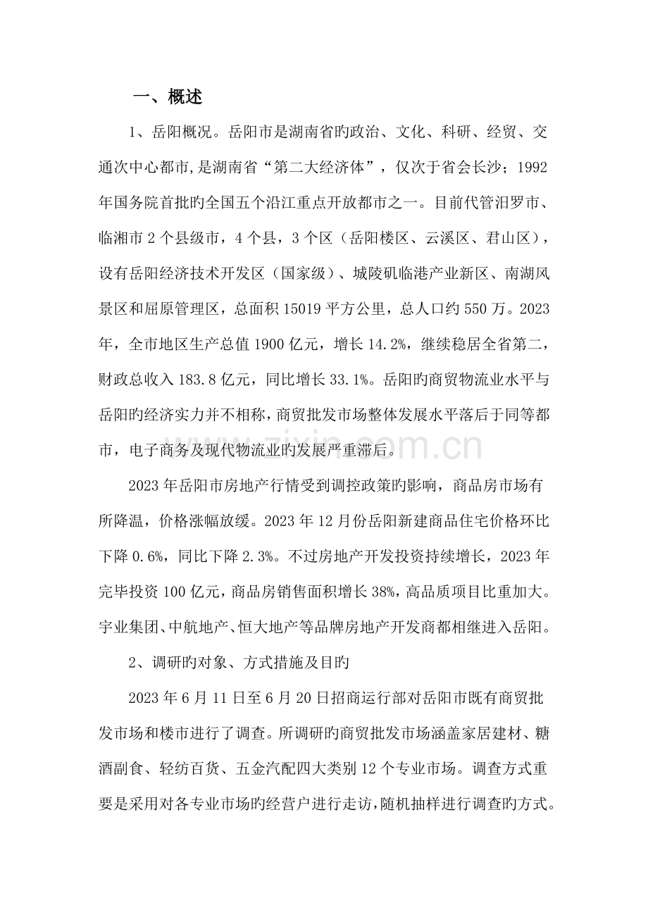 岳阳商贸市场调研报告.doc_第2页