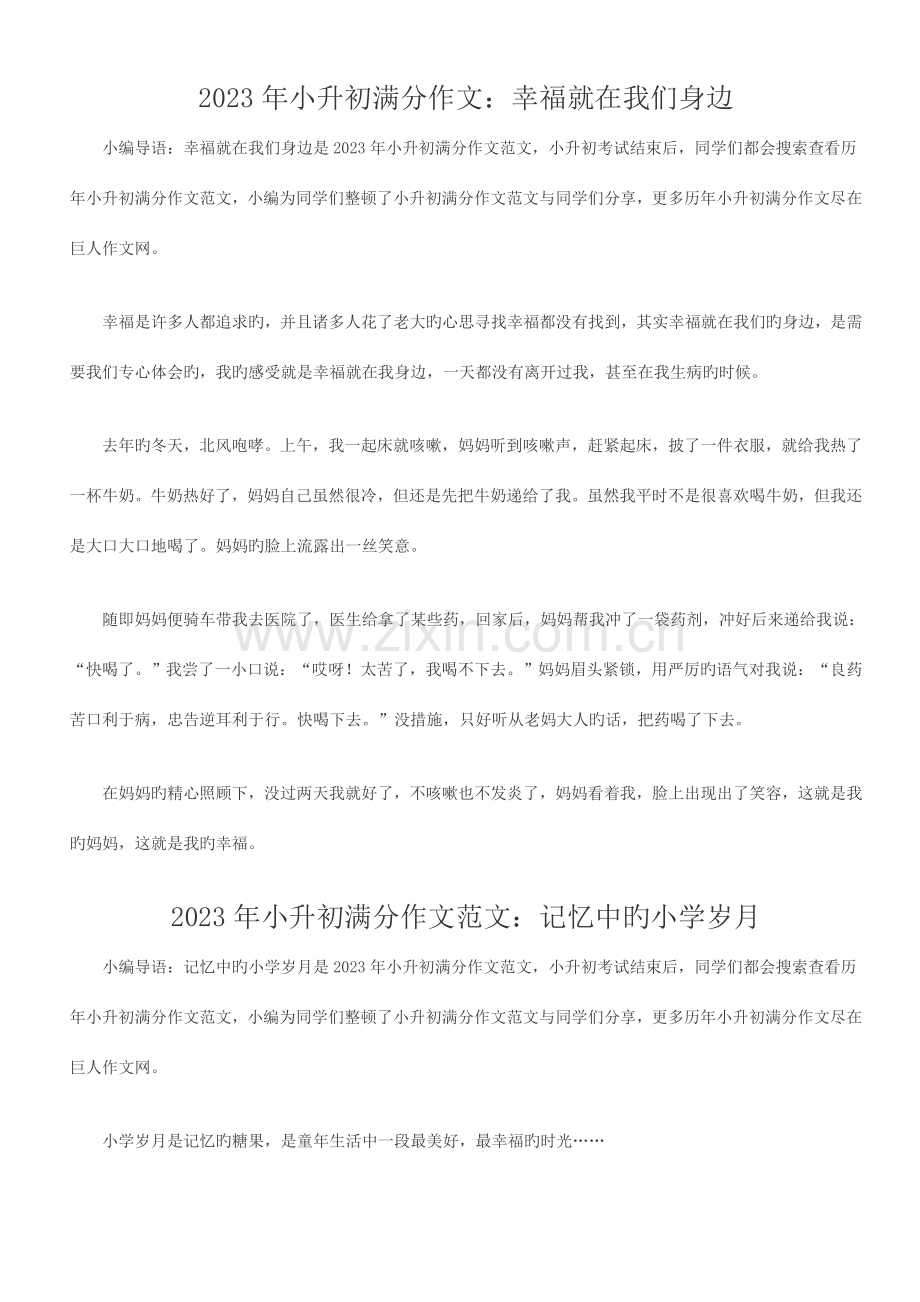 2023年小升初满分作文优质资料.docx_第1页