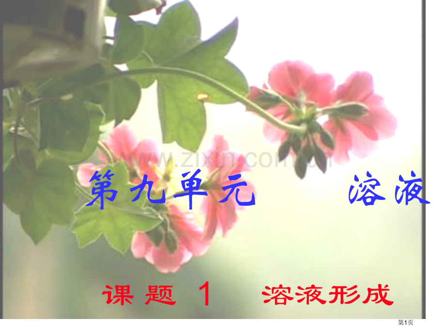 九年级化学溶液的形成5公开课获奖课件.pptx_第1页
