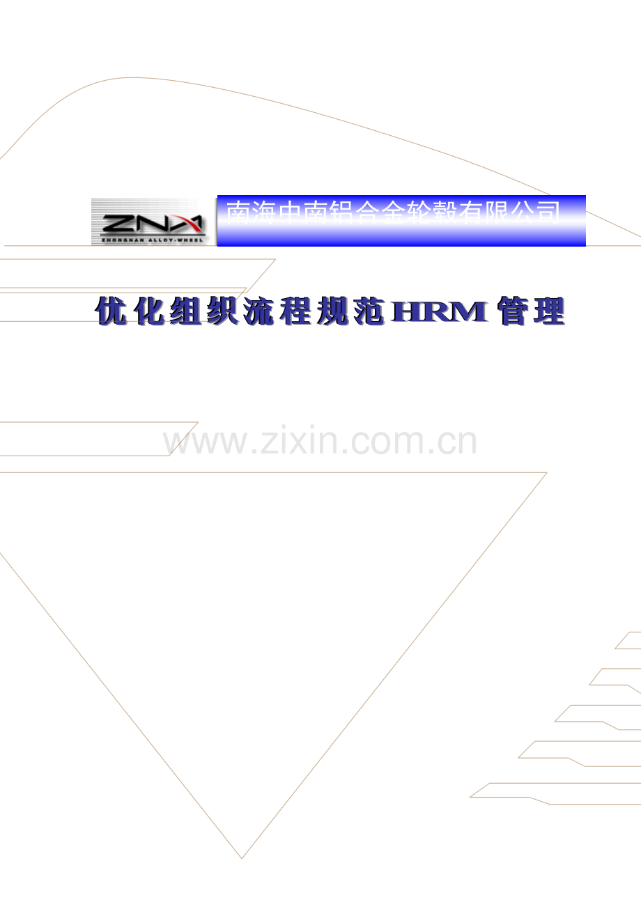 中南轮毂优化组织流程及规范方案.doc_第1页