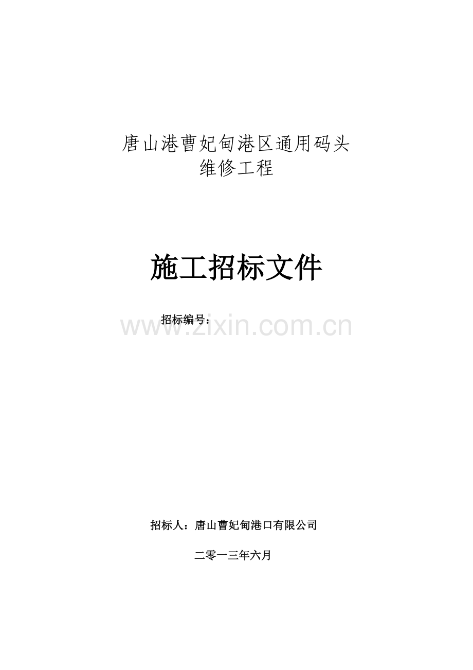 通用码头维修招标文件.doc_第1页