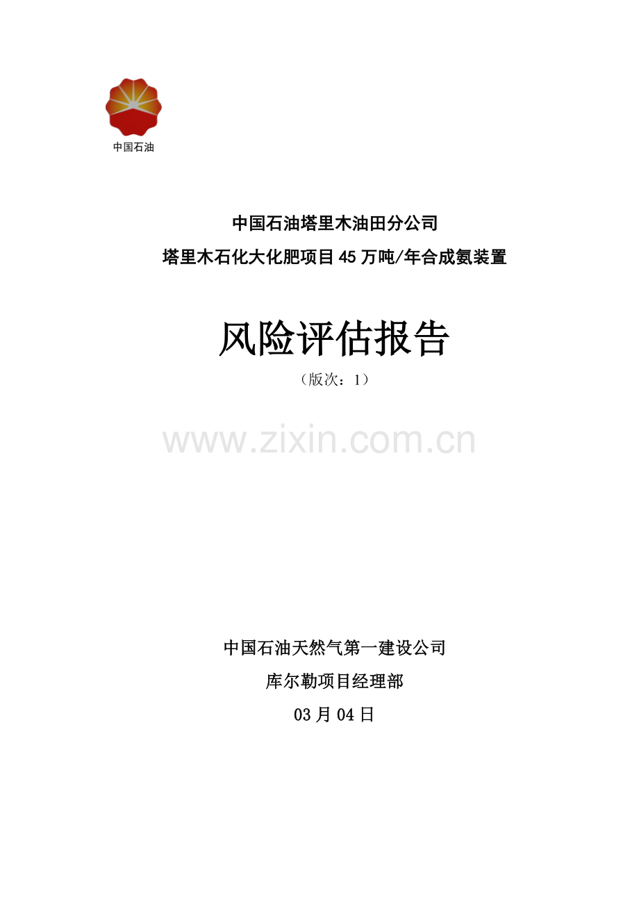 风险评估报告--合成氨装置工程.doc_第1页