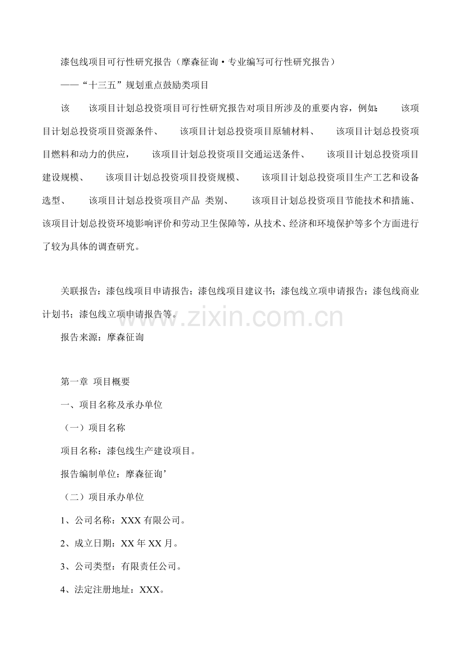 漆包线项目可行性研究报告摩森咨询·专业编写可行性研.doc_第1页
