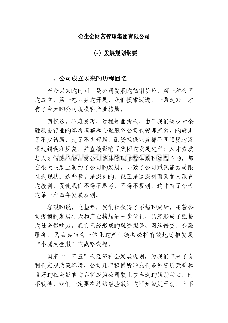 金生金财富管理集团有限公司发展规划.docx_第1页
