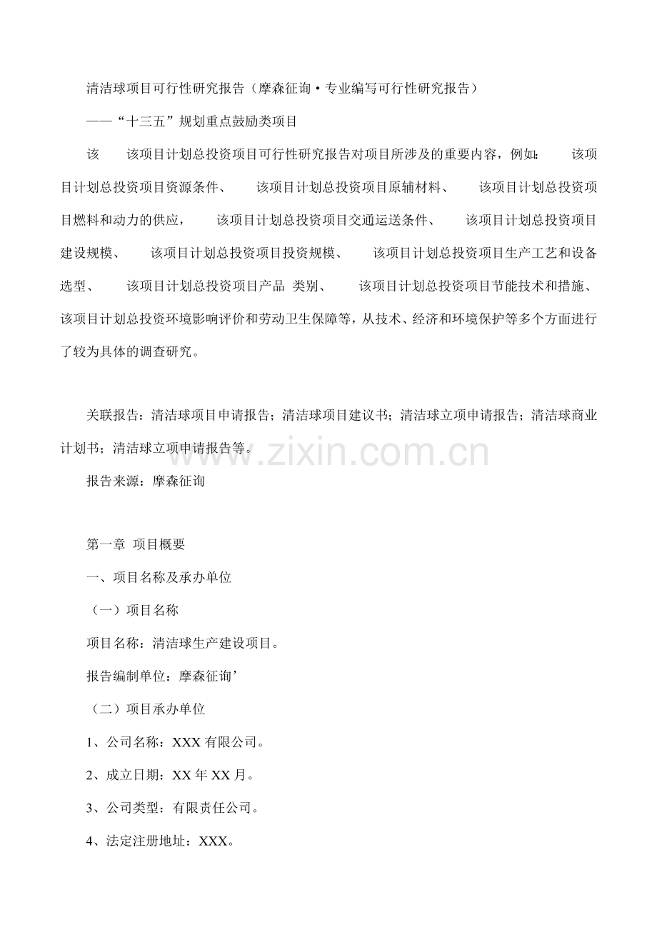 清洁球项目可行性研究报告摩森咨询·专业编写可行性研.doc_第1页