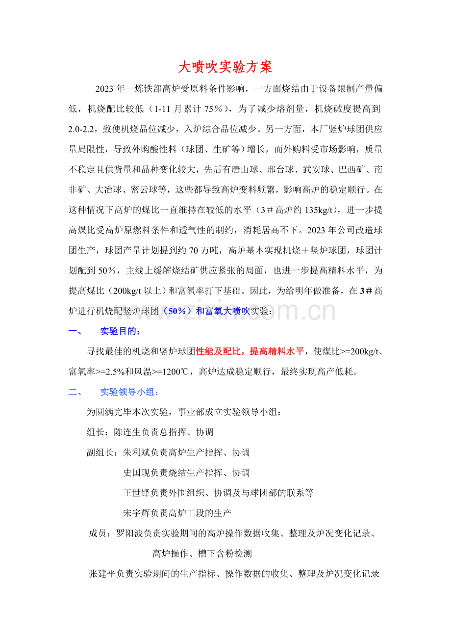 大喷吹试验方案.doc_第1页