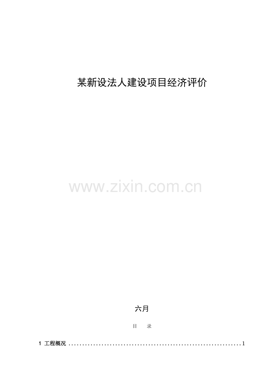 新设法人建设项目经济评价.doc_第1页