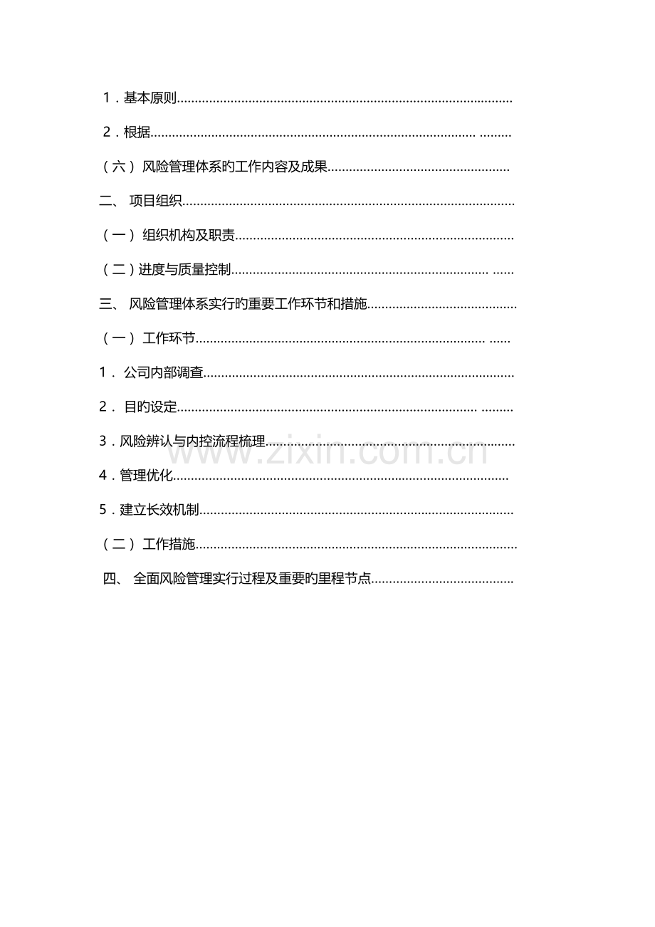 全面风险管理项目实施方案(模板).doc_第2页