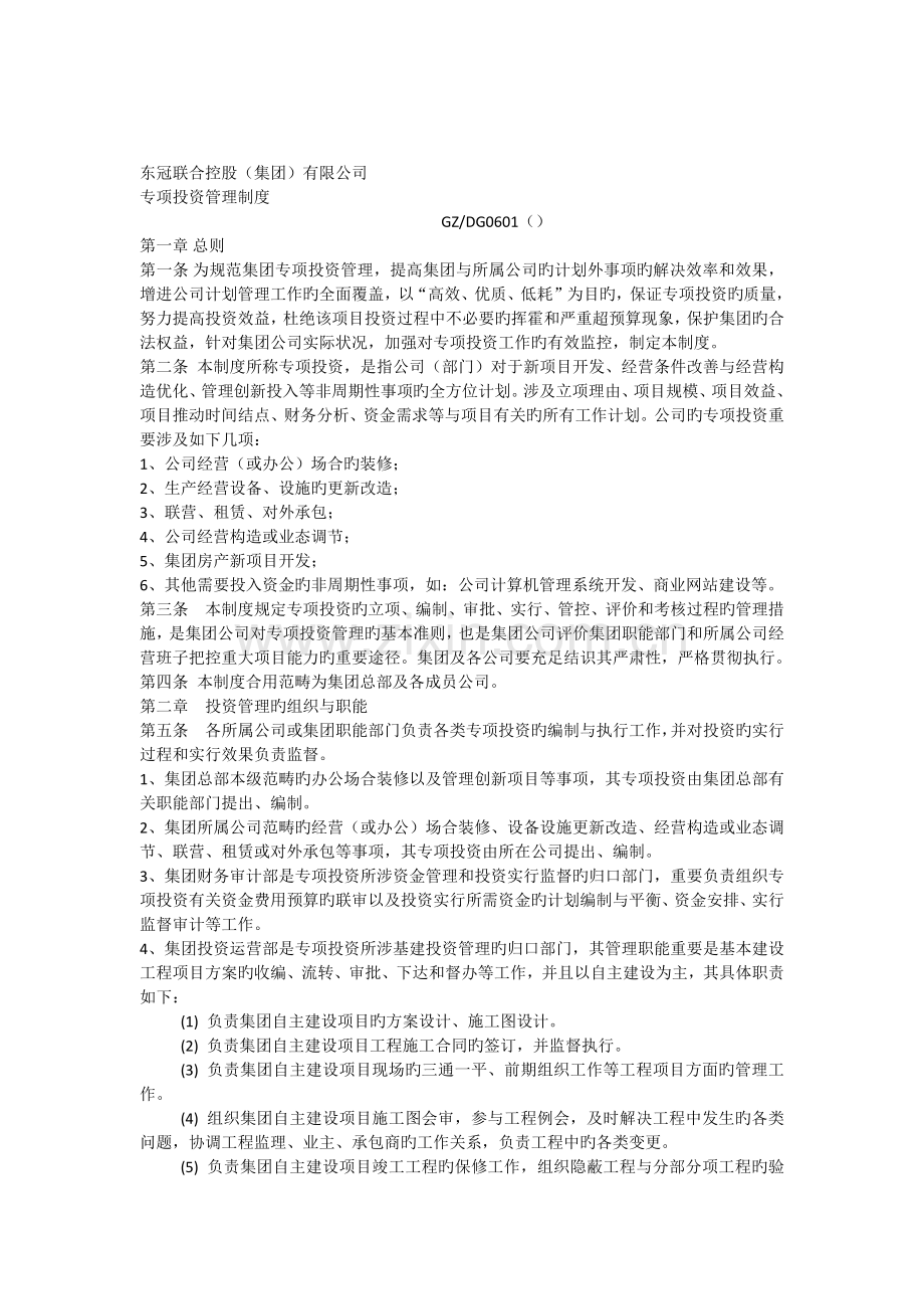 DG0601专项投资管理制度.docx_第1页