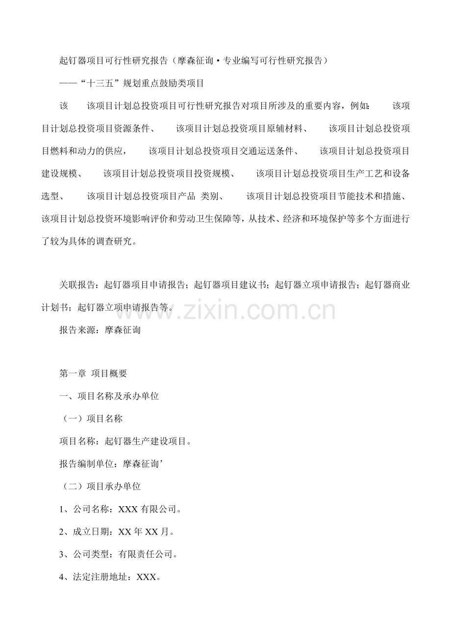 起钉器项目可行性研究报告摩森咨询·专业编写可行性研.doc_第1页