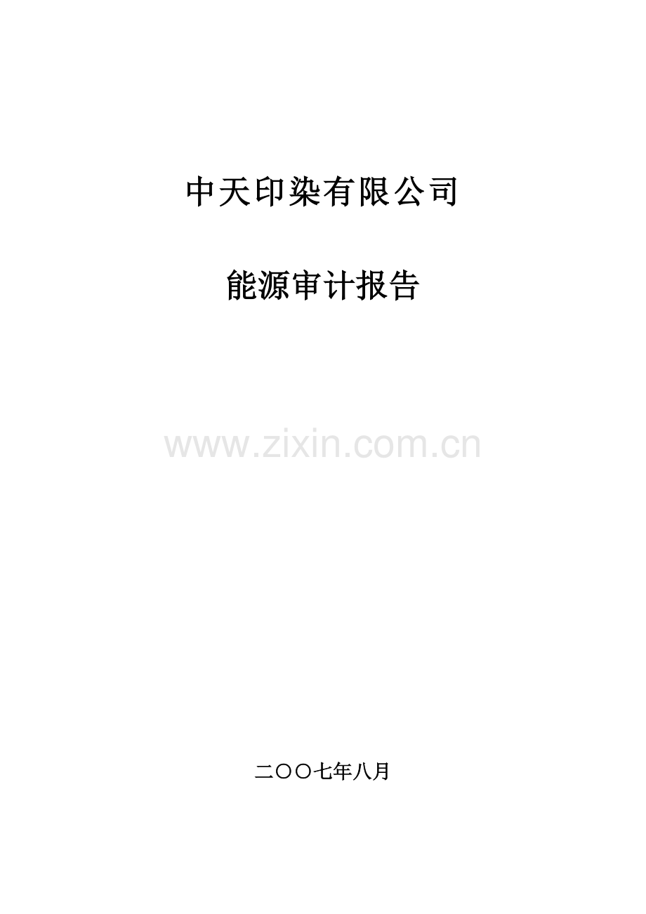 造纸业能源审计报告.doc_第1页