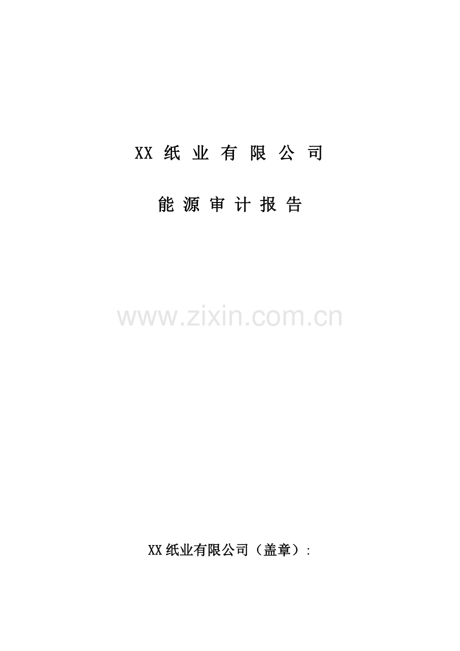 造纸业能源审计报告.doc_第2页