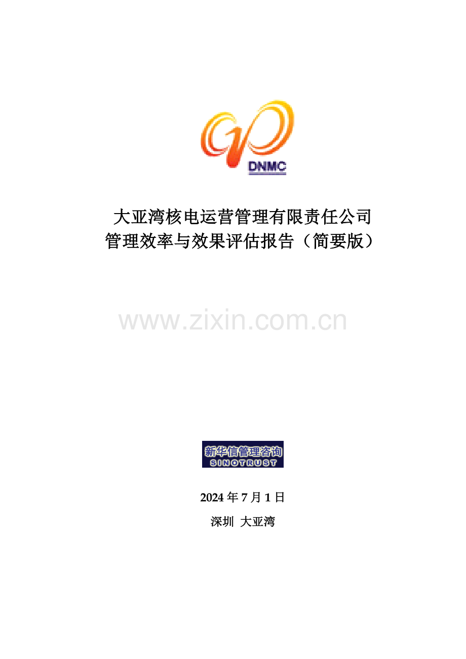 评估报告简要版.doc_第1页