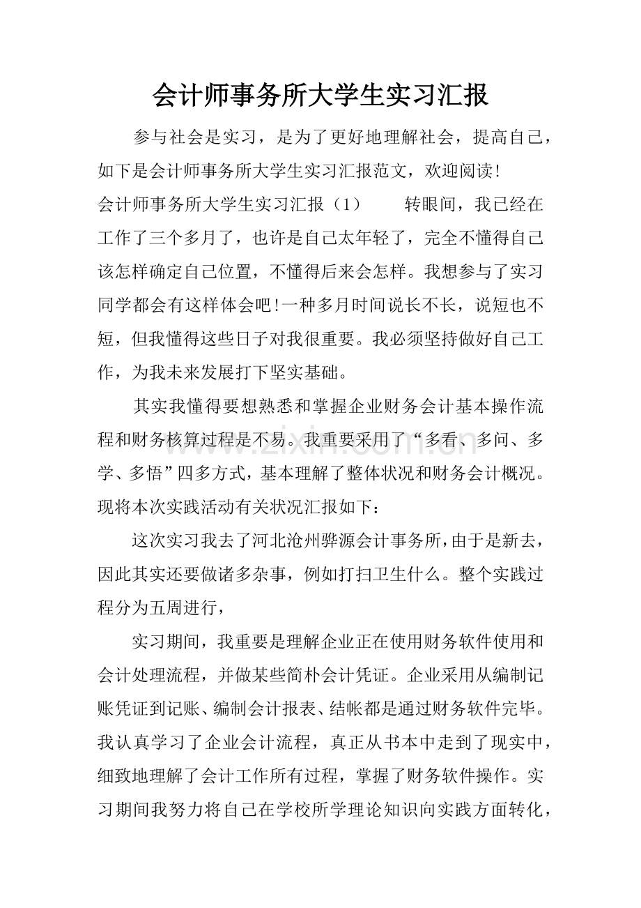 会计师事务所大学生实习报告.docx_第1页