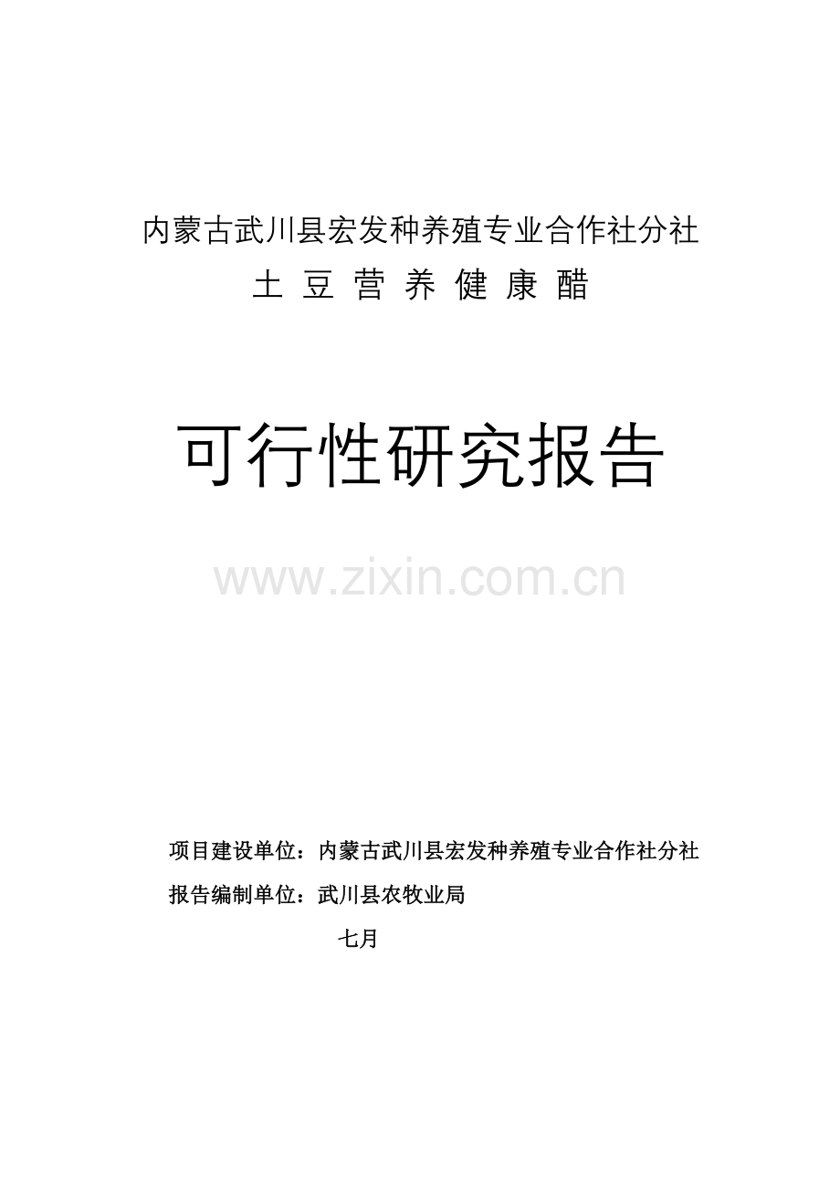 土豆营养健康醋项目可研报告.doc_第1页