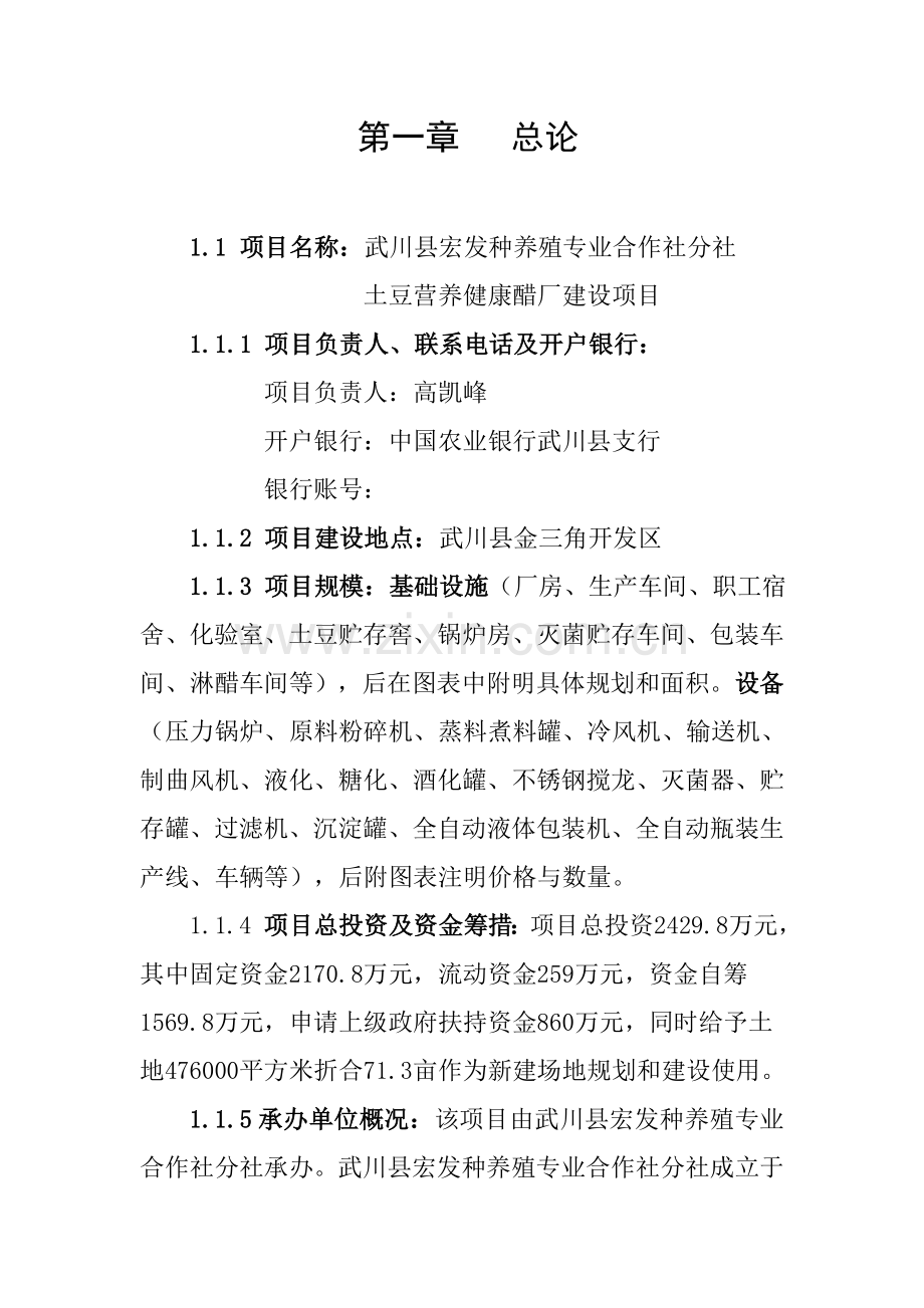 土豆营养健康醋项目可研报告.doc_第2页