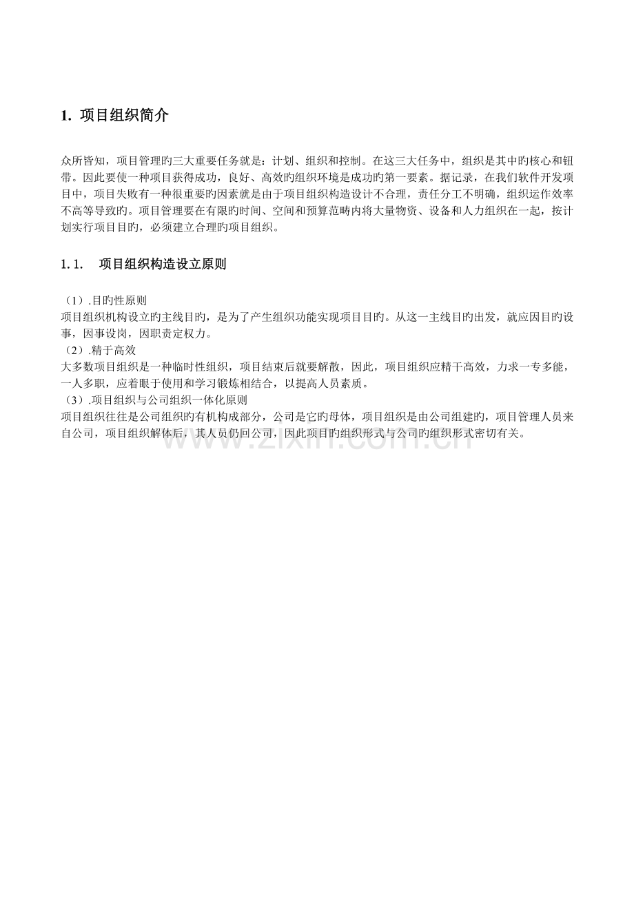 项目组织结构设计.doc_第1页