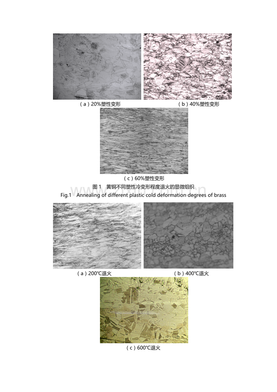 金相制备与分析综合实验金相照片.docx_第1页