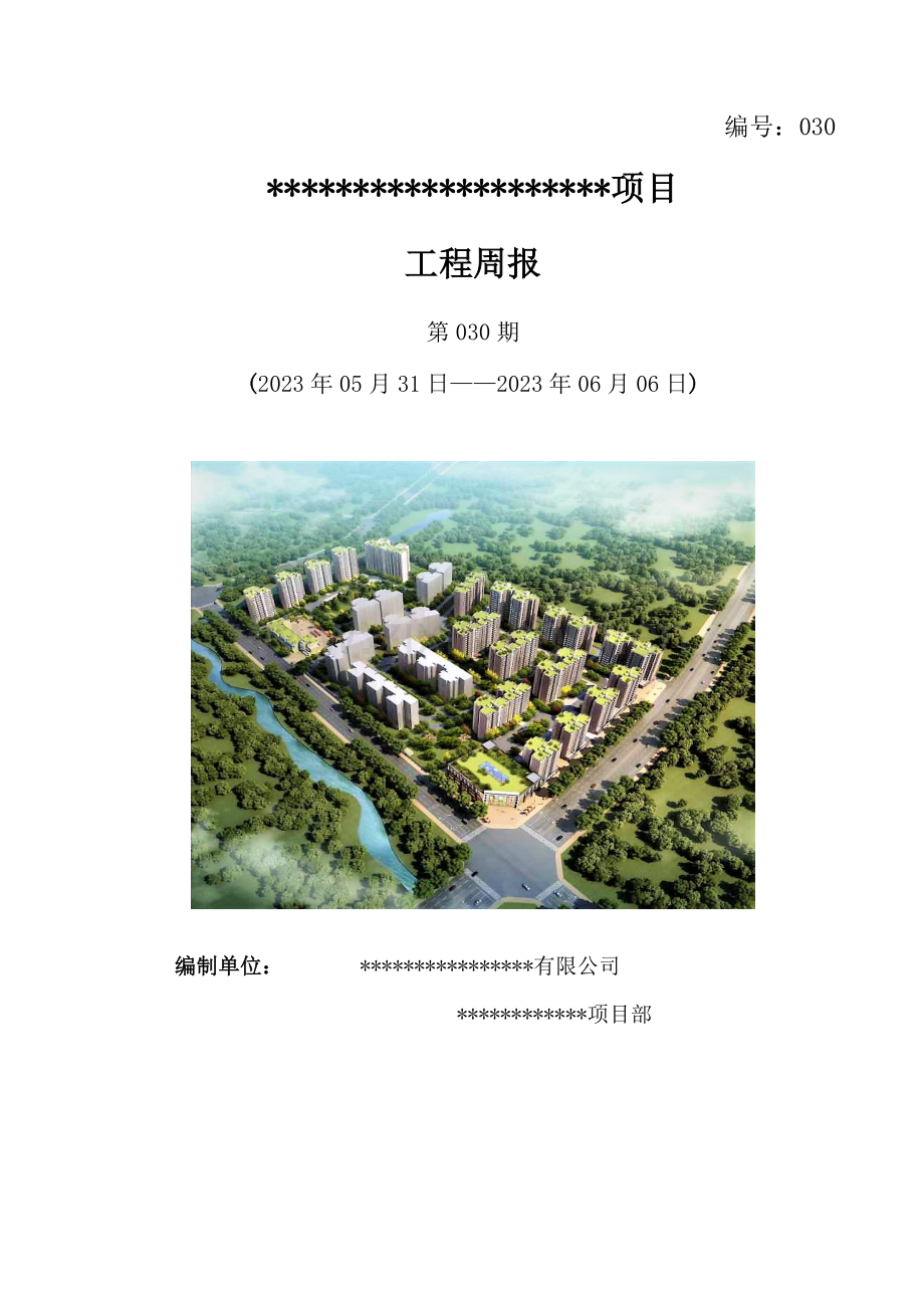 工程的工程周报模板.doc_第1页