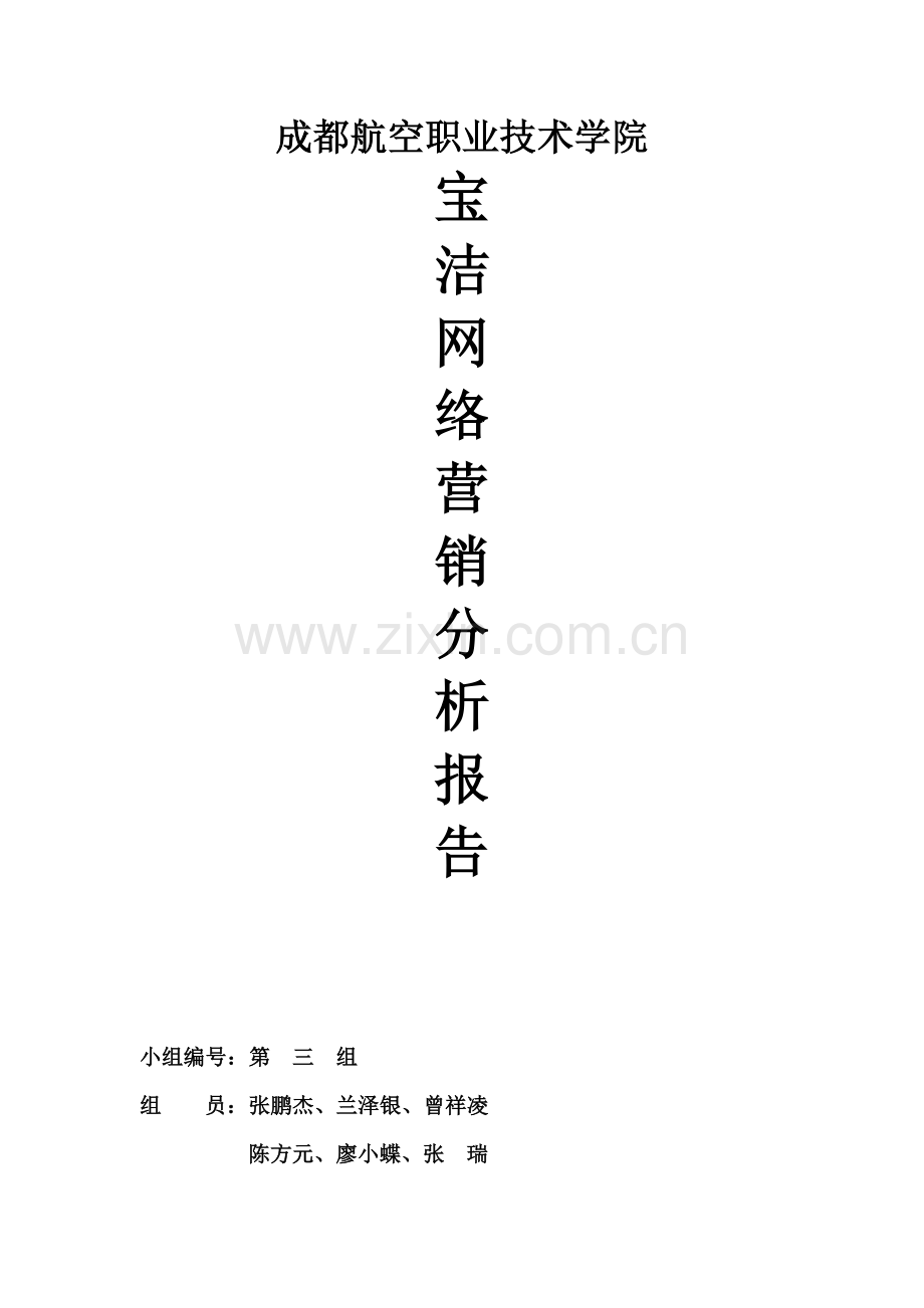 宝洁网络营销分析报告.doc_第1页