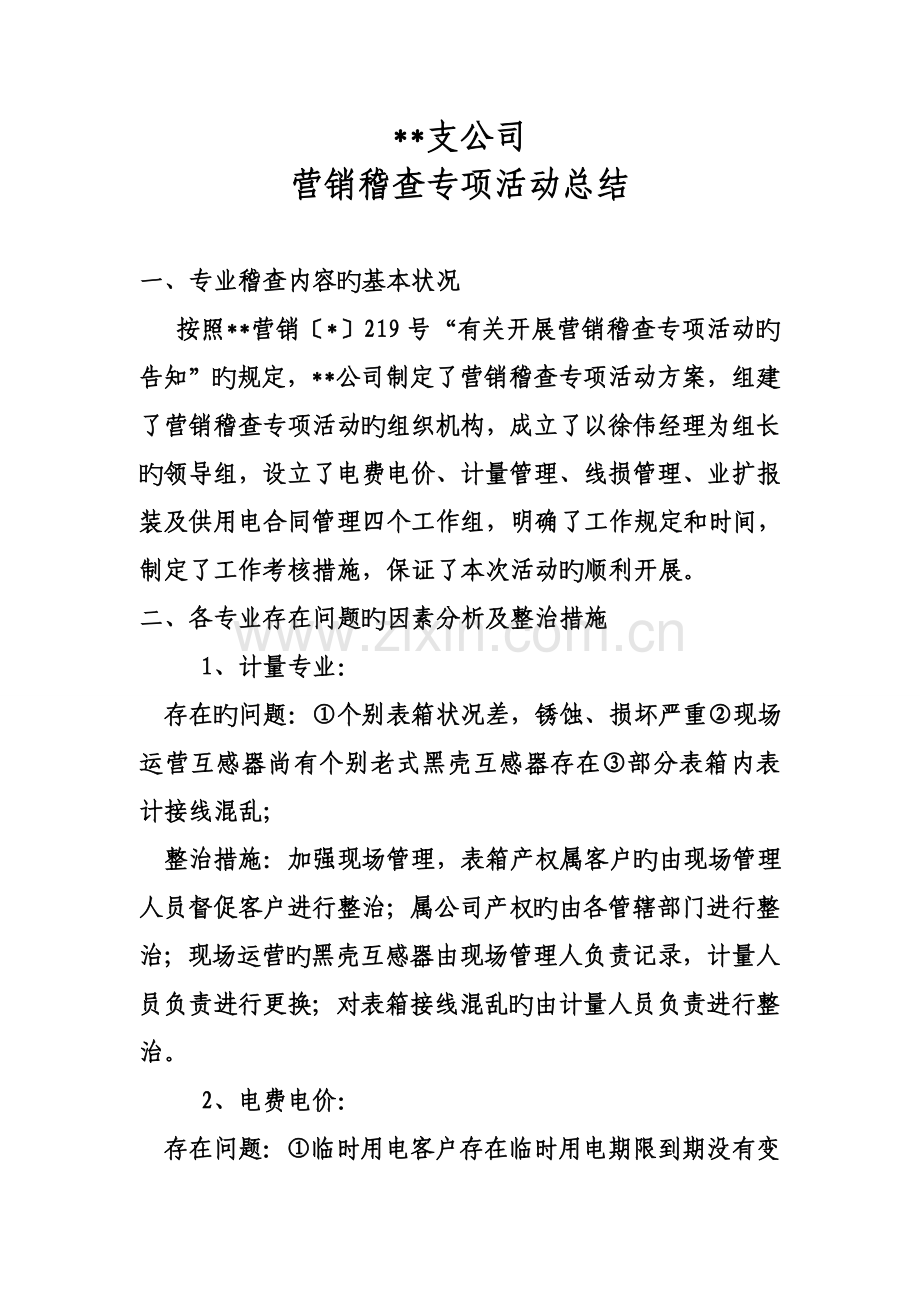 支公司营销稽查专项活动总结.doc_第1页