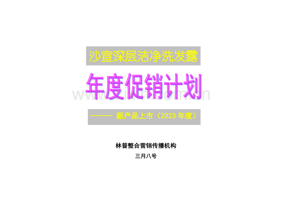 沙宣深层洁净洗发露上市策划方案.doc_第1页