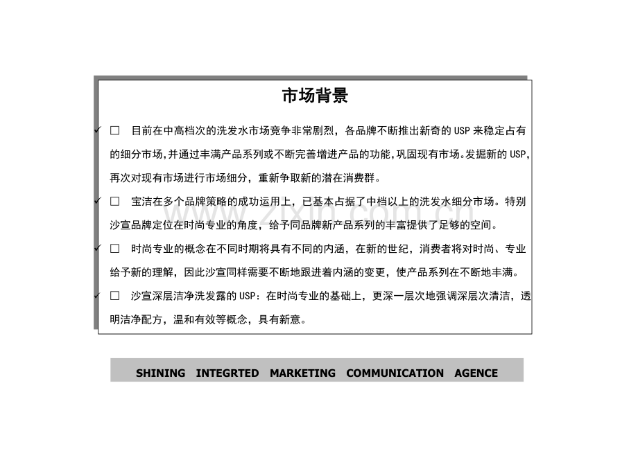 沙宣深层洁净洗发露上市策划方案.doc_第2页