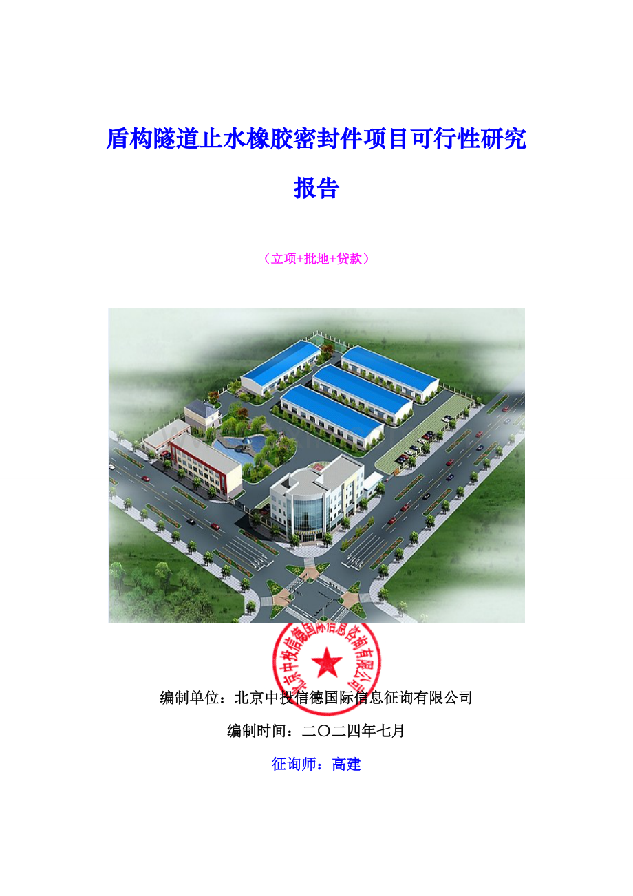盾构隧道止水橡胶密封件项目可行性研究报告.doc_第1页