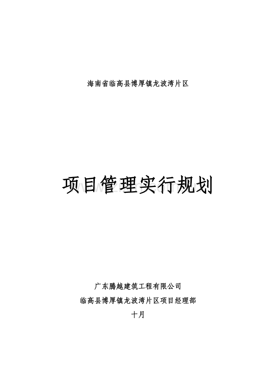 项目管理实施规划范本.doc_第1页