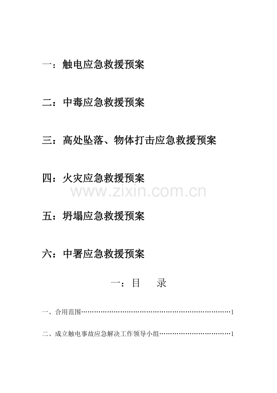 总应急预案.doc_第2页