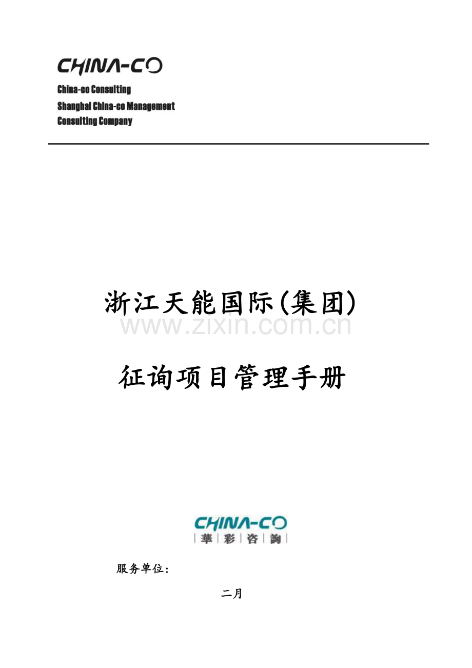 天能集团咨询项目管理手册.doc_第1页