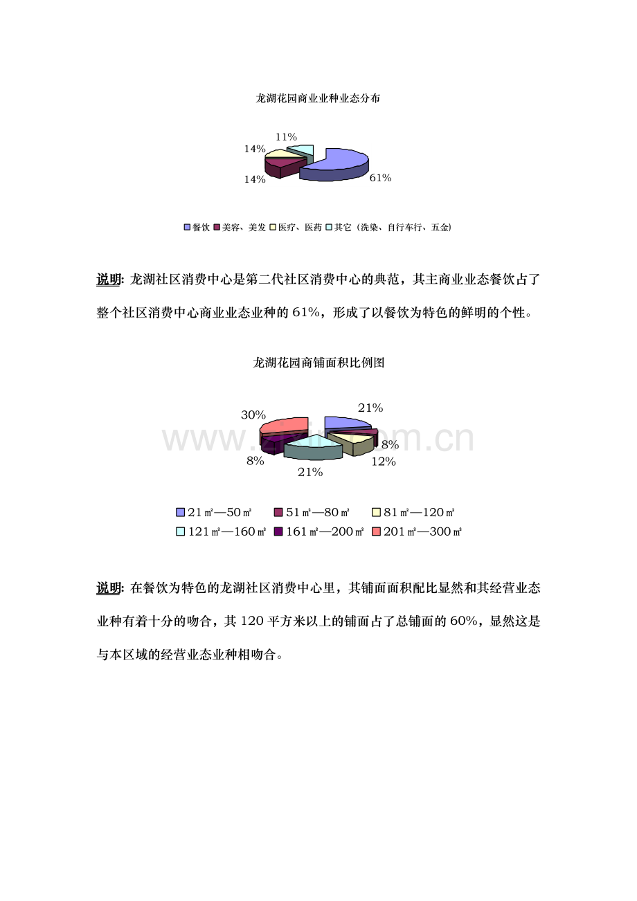 商业街推广简案.doc_第2页